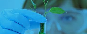 Woman holding laboratory tube, image colored blue